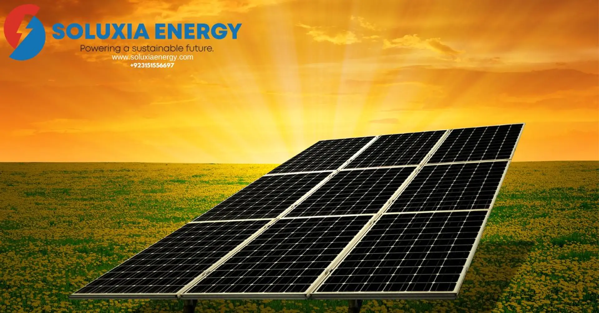 683f50ab7254d71cfa1f96d4